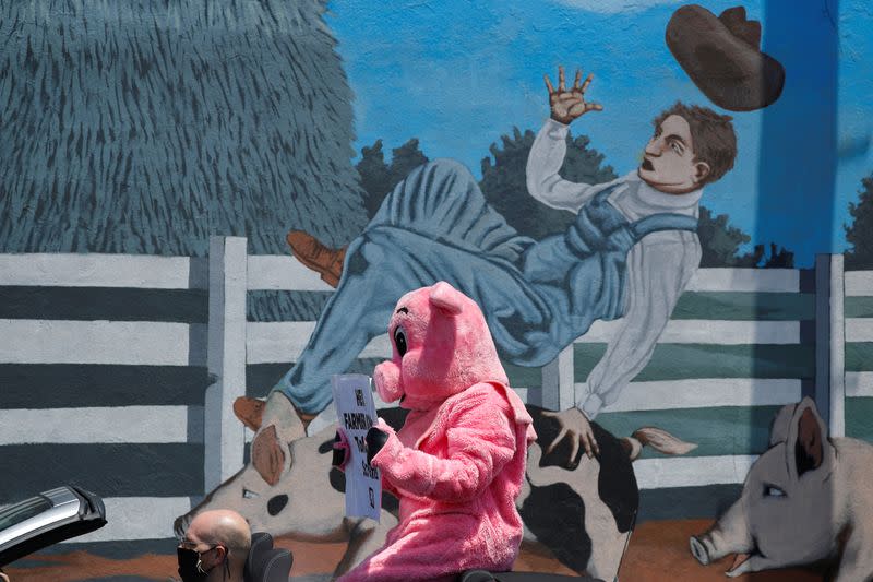 PETA protest during COVID-19 outbreak in California