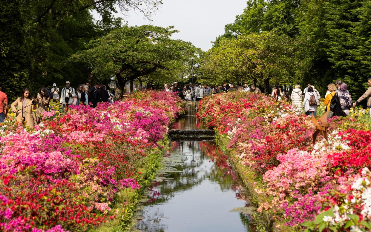 Spring in Amsterdam - the best holidays in spring