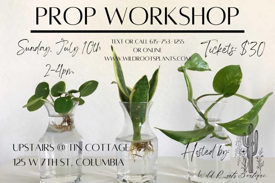 Tin Cottage will host a Prop Workshop to teach students the joys of propagating plants, which will take place starting at 2 p.m. Sunday.