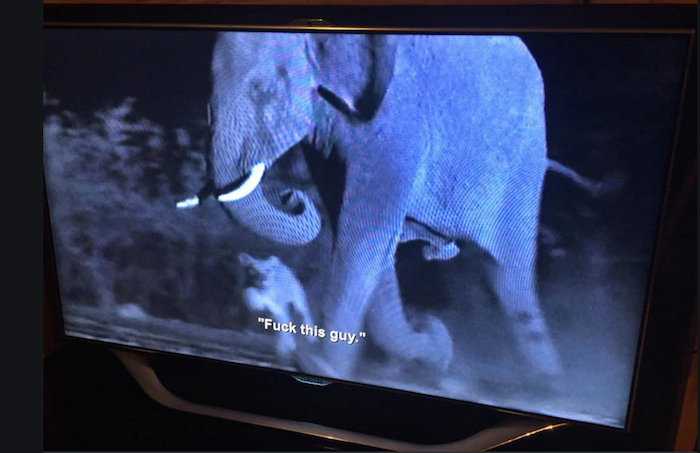 Netflix Accidentally Put Aziz Ansari Subtitles on a Nature Doc and the Results Are Amazing