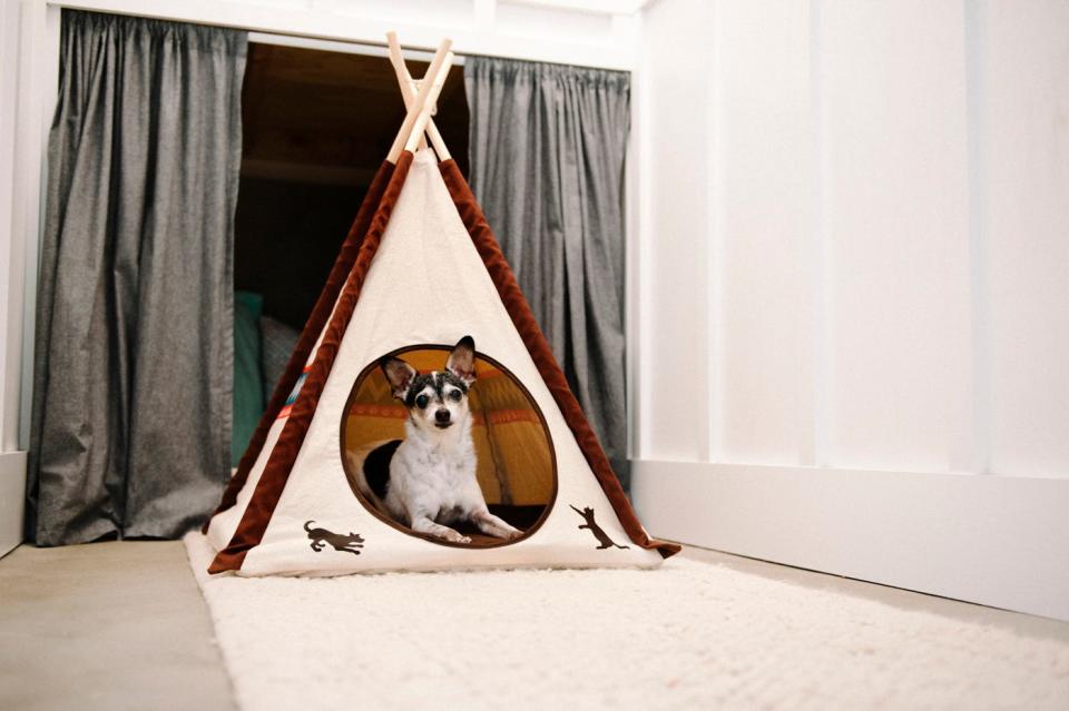 P.L.A.Y.’s  pet teepee makes a great play area for your furry friend.