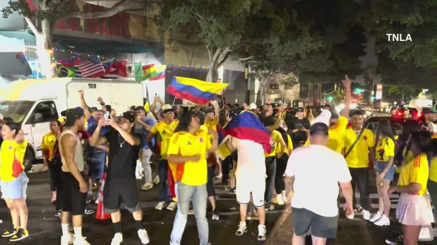 A large crowd gathered for a Copa América watch party in Los Angeles. (TNLA)