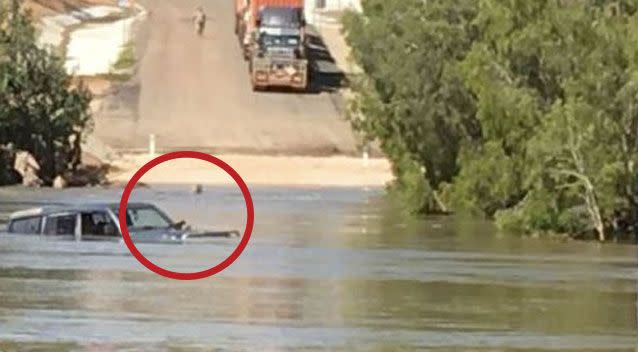 Police have rescued two puppies stranded on a car bonnet in flood water. Photo: Queensland Police