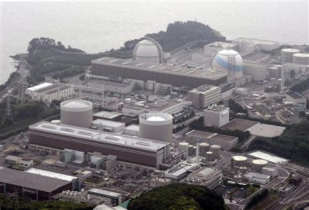 An aerial view shows Kyushu Electric Power's Genkai nuclear power plant, in Genkai town, Saga Prefecture, in this file picture taken by Kyodo on June 9, 2011. REUTERS/Kyodo