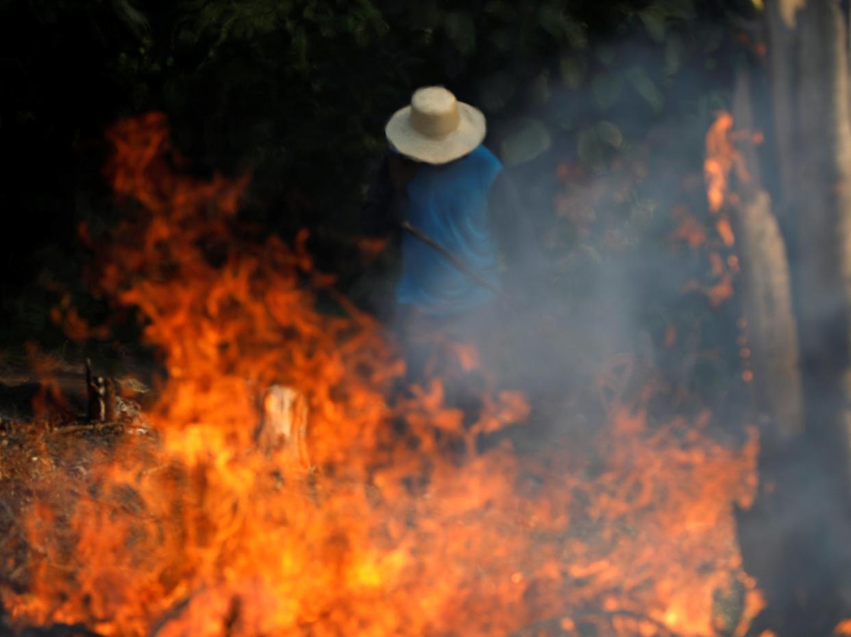 amazon rainforest fires farmer