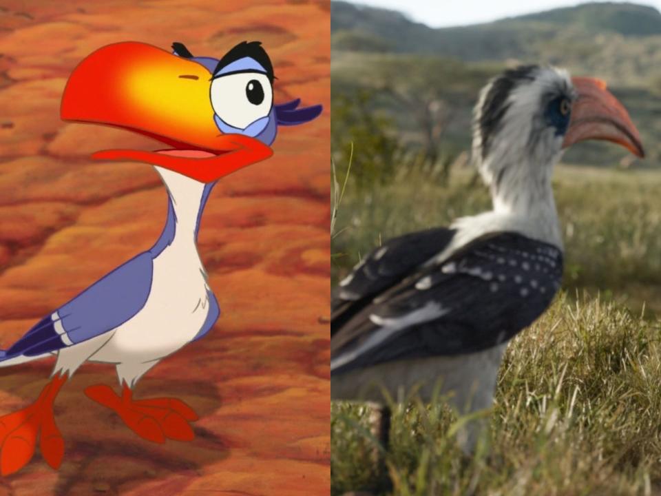 zazu