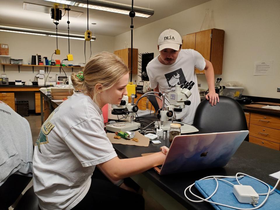 Emerie Grace, left, and RJ Smith review data during their 2023 summer internship at DLiA. Grace, Smith, and fellow intern Laura Dixson used DNA barcoding to confirm the presence of the spring four-flasher firefly in Great Smoky Mountains National Park.