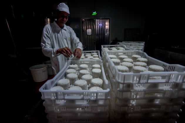 Fábrica de quesos en Colmenar Viejo, Madrid, en agosto de 2022. (Photo: Ricardo Rubio/Europa Press via Getty Images)