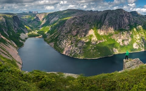 Newfoundland - Credit: Getty