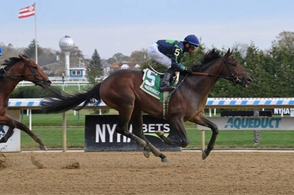 Sierra Leone is the 2-1 morning-line favorite for Saturday’s 100th running of the Toyota Blue Grass Stakes at Keeneland. Coglianese Photos