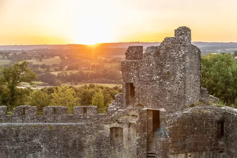 Dinefwr Castle at sunset -Credit:iStock/Getty Images