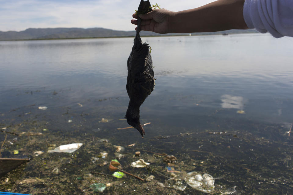 La contaminación del lago Titicaca