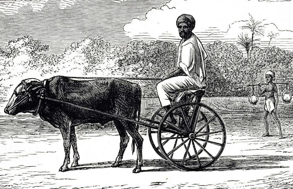 An engraving depicting a single-seated ox-cart in Chennai. Dated 19th century