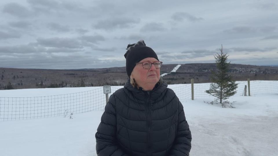 Nancy Frame, who lives in Folly Mountain, N.S. has concerns about how a proposed wind farm could affect the Wentworth Valley area — particularly because the energy is producing green hydrogen and ammonia for export. 