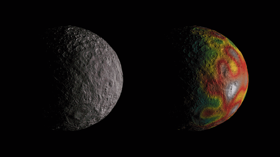 An animated view of Ceres' gravity field (right) overlaid on the dwarf planet based on measurements by NASA's Dawn spacecraft in orbit around the dwarf planet. <cite>NASA/JPL-Caltech/UCLA/MPS/DLR/IDA</cite>