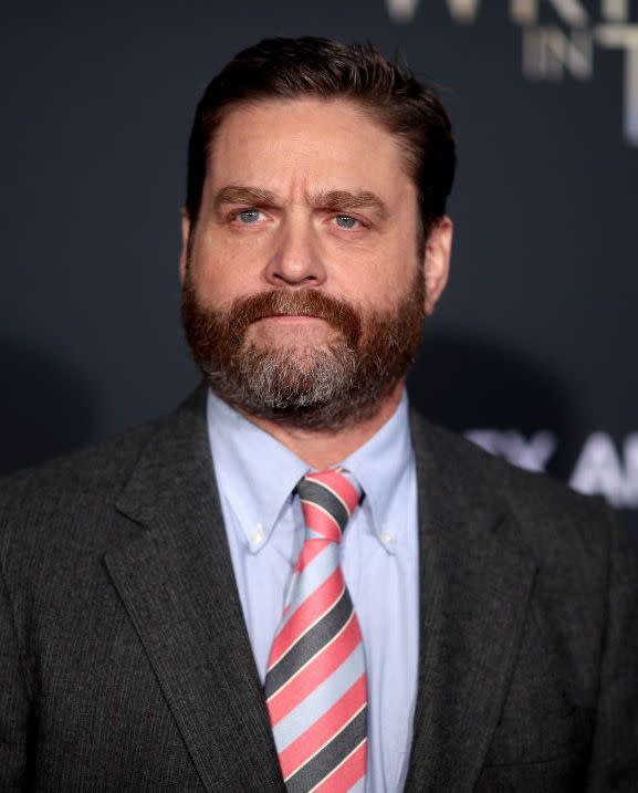 Zach Galifianakis (head of hair)