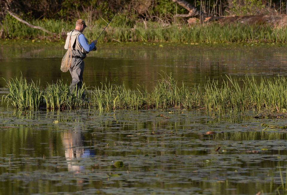 Bill Treacy, 63, from Canonsburg fishes in the Lily Pond, near the public safety building at Presque Isle State Park in Millcreek Township on May 28. Treacy said he caught and released "about 40 blue gill and small bass in a little more than 30 minutes."