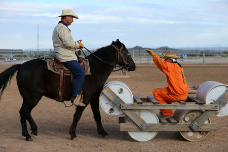 Randy Helm rides a horse, while inmate Gabriel Curtis gestures, as they train a horse as part of the Wild Horse Inmate Program (WHIP) at Florence State Prison in Florence, Arizona, U.S., December 2, 2016. REUTERS/Mike Blake