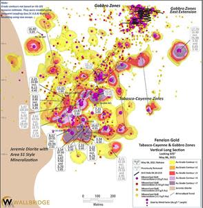 Fenelon Gold, Tabasco-Cayenne-Gabbro Zones Long Section