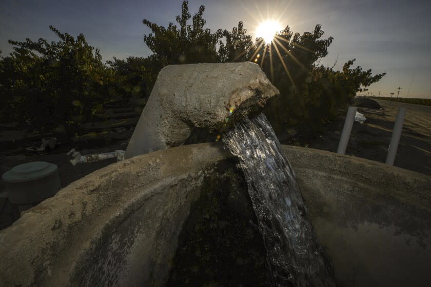 Visalia, CA - October 12: Water flows from an underground well to irrigate an orchard on Tuesday, Oct. 12, 2021 in Visalia, CA. (Irfan Khan / Los Angeles Times)