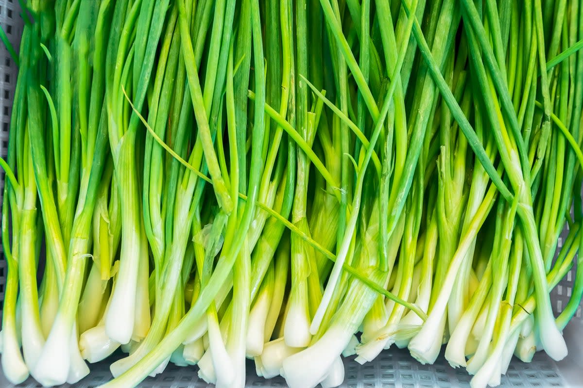 Spring onions are at their peak from March to June  (Getty/iStock)