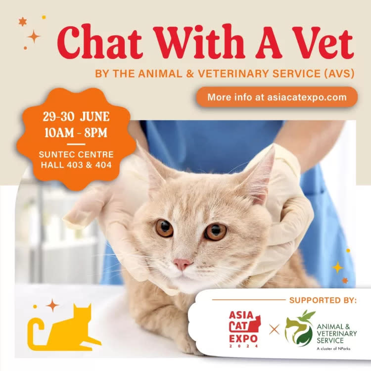 asia cat expo 2024 - chat with a vet