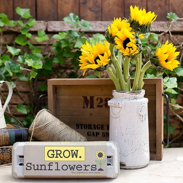 Sunflower Garden Grow Kit, gifts for mom