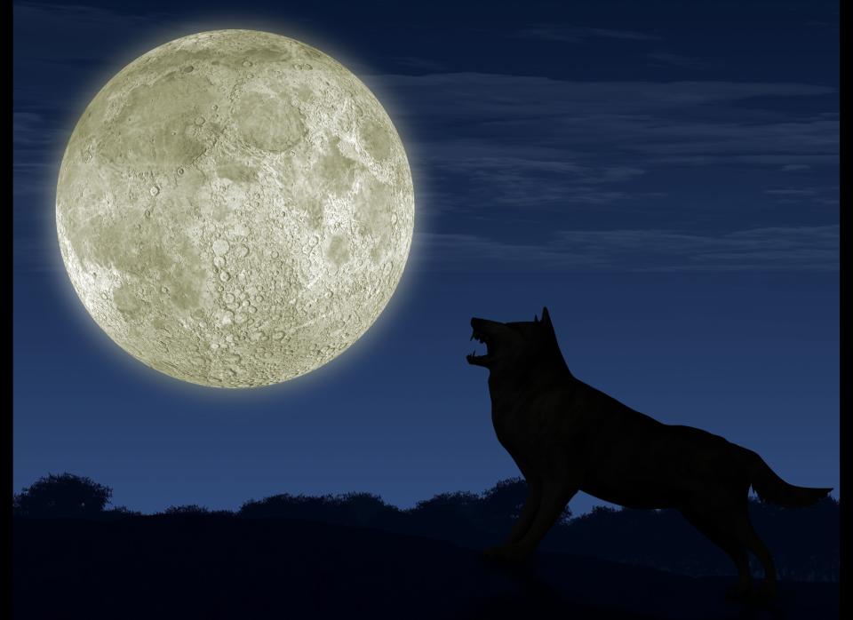 If vampires and ancient Romans can influence baby names, why not werewolves? <a href="http://nameberry.com/babyname/Caia" target="_hplink">Caia</a> is the name of the half-witch, half-lycan main character of the Lunarmorte series of novels by Samantha Young.  And Caia has an ancient Roman connection too: She was the goddess of fire and of women.