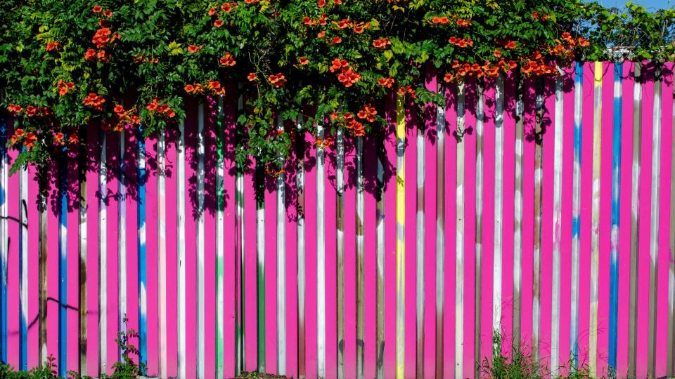 artistic painted fence