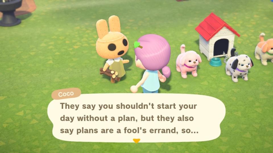 photo of animal crossing villager coco talking to a resident