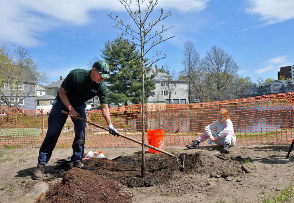 Quincy Tree Warden Chris Hayward plants a tree at Butler's Pond in observance of Earth Day as Clara Blaikie, 9, of Quincy, looks on during a ceremony where turtles were returned to the pond Saturday, April 23, 2022.