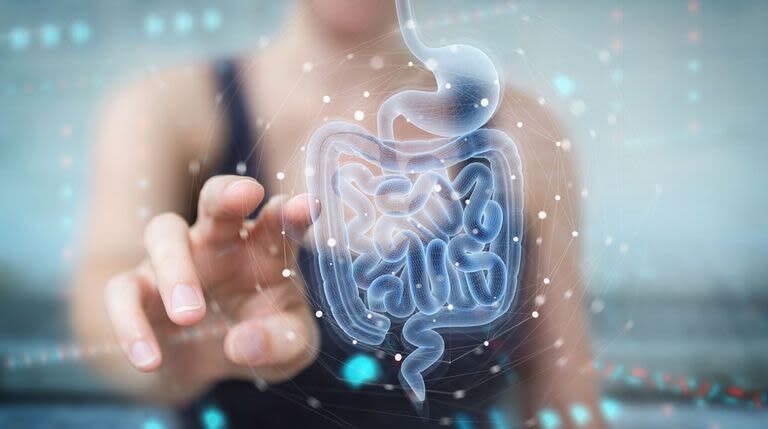 Hay estudios que apuntan a que la microbiota intestinal puede influir en la neurofisiología, en la conducta e, incluso, en el proceso de cicatrización de las heridas