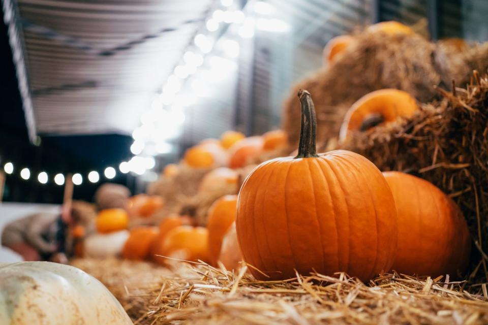 many pumpkins on haystacks halloween autumn outdoors decorations night with beautiful garland lightening