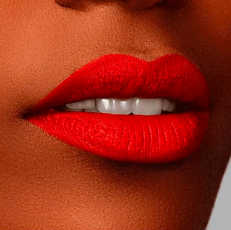 Rouge d'Armani Matte Lipstick. Image via The Bay.