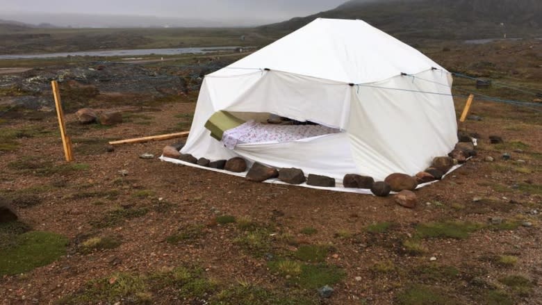 Polar bear rips 6 tents pitched in Iqaluit park