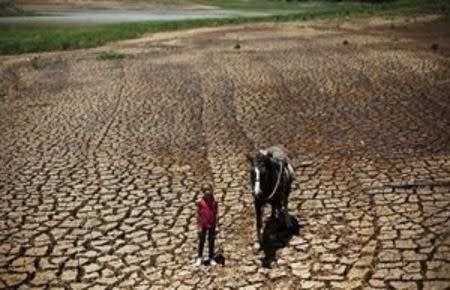 Paula, 7, poses with her horse on the cracked ground of Atibainha dam, part of the Cantareira reservoir, in Nazare Paulista, near Sao Paulo, Brazil, February 12, 2015. REUTERS/Nacho Doce