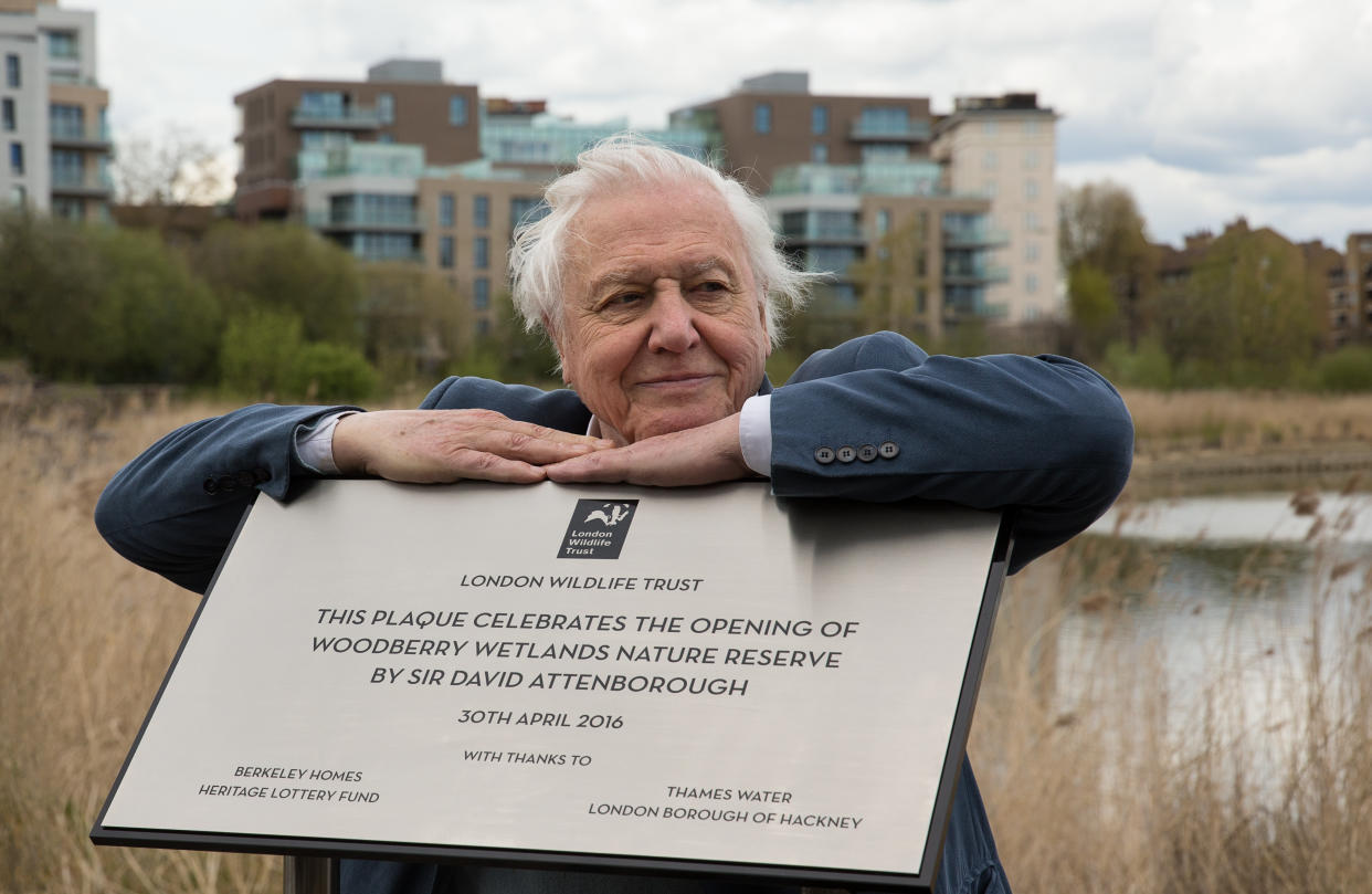 Sir David Attenborough at Woodberry Wetlands launch in London in 2016. (Penny Dixie/Wildlife Trusts)