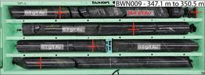 Drill core photos of BWN009 high-grade gold intercept and gold grades for each sample.