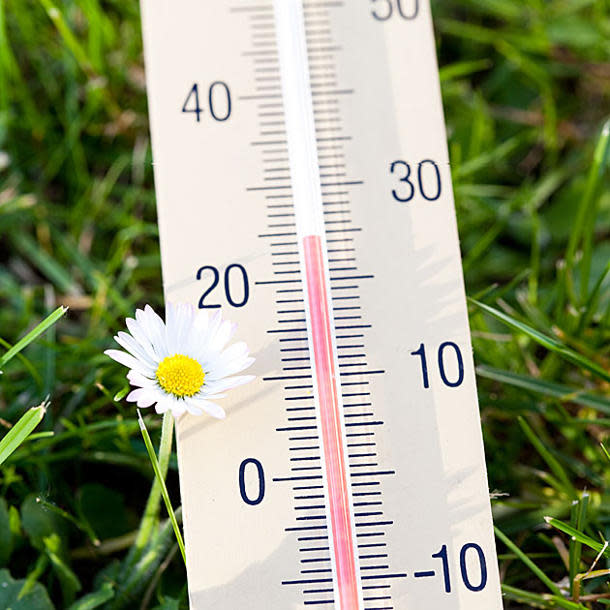 Wetterprognose für den Sommer 2013 (Symbolbild: Fotolia)