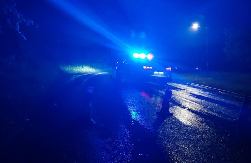 Echo: Blue lights - police car on the scene
