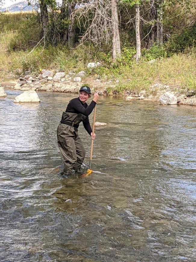 Shannon Frank, executive director of the Oldman Watershed Council, monitors a creek near the Crowsnest River.  (Oldman Watershed Council - image credit)