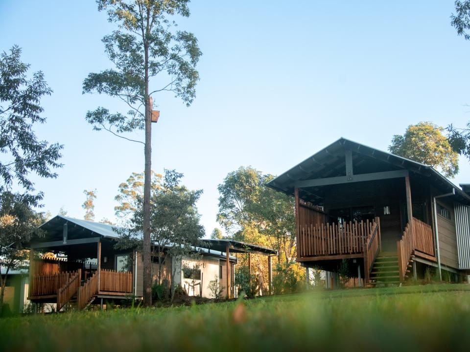 There are eight cabins at the lodge.