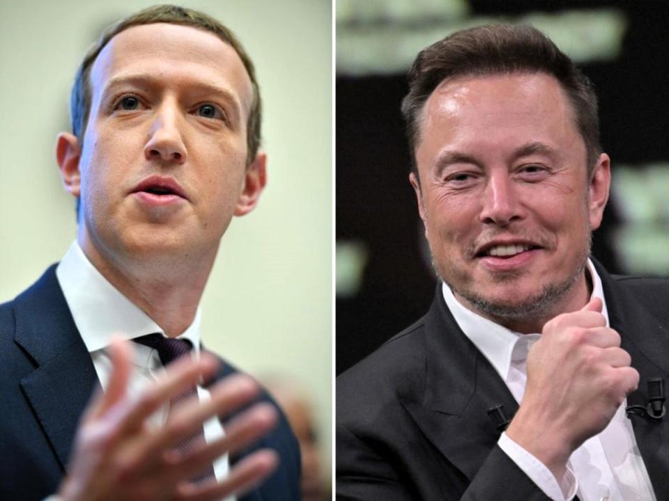 Mark Zuckerberg (left) and Elon Musk have agreed to a ‘cage fight’ in Las Vegas (Getty Images)