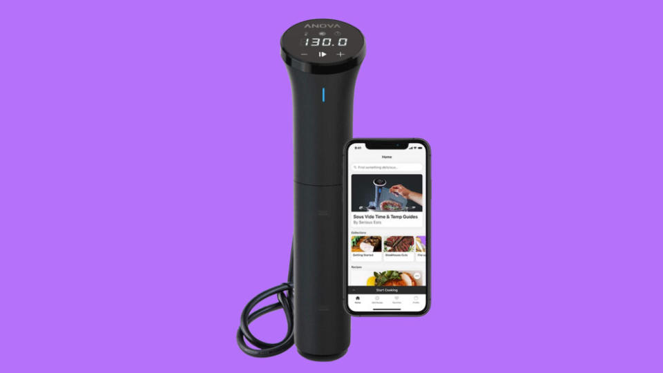 Anova Culinary AN400-US00 Nano Sous Vide Precision Cooker, 12.8" x 2.2" x 4.1", Silver