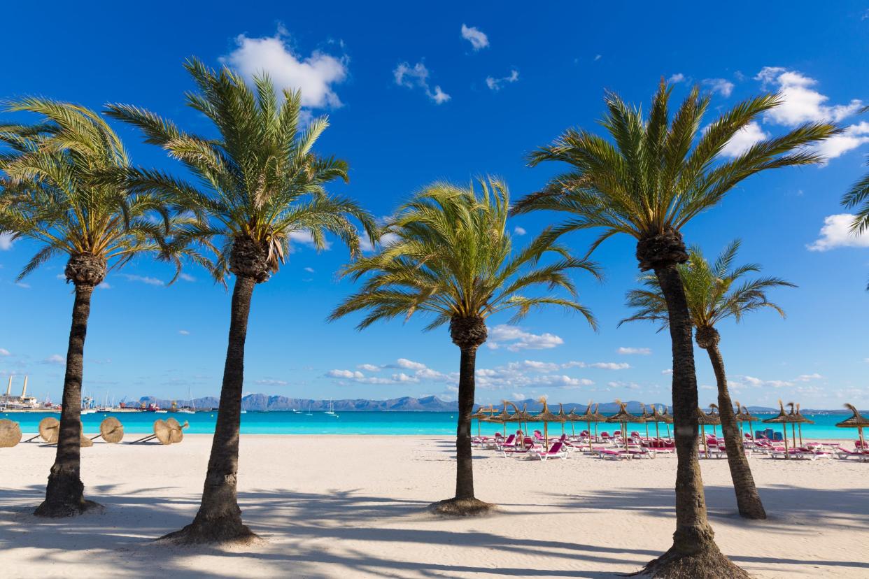 Alcudia beach, Majorca: istock