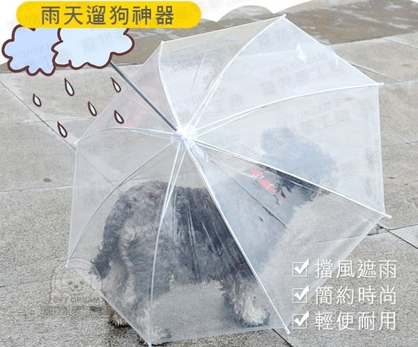 寵物專用雨傘，原價320元，限時5折，只要160元。（圖取自Yahoo奇摩購物中心）