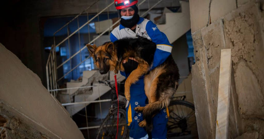 目前土耳其當地的動保組織開始救援受困的動物。（圖／達志／美聯社）