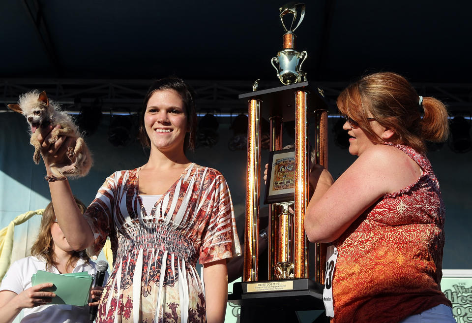 Canines Compete In World's Ugliest Dog Contest