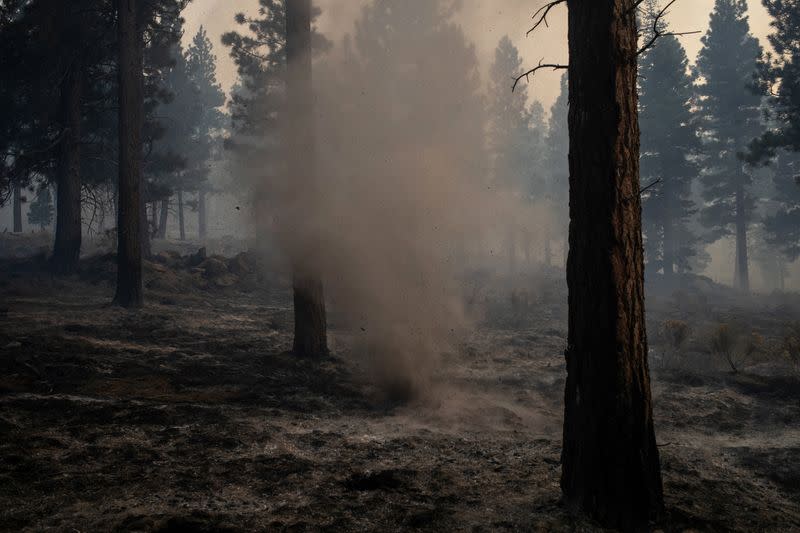 The Wider Image: Oregon inmates find redemption in fighting wildfires