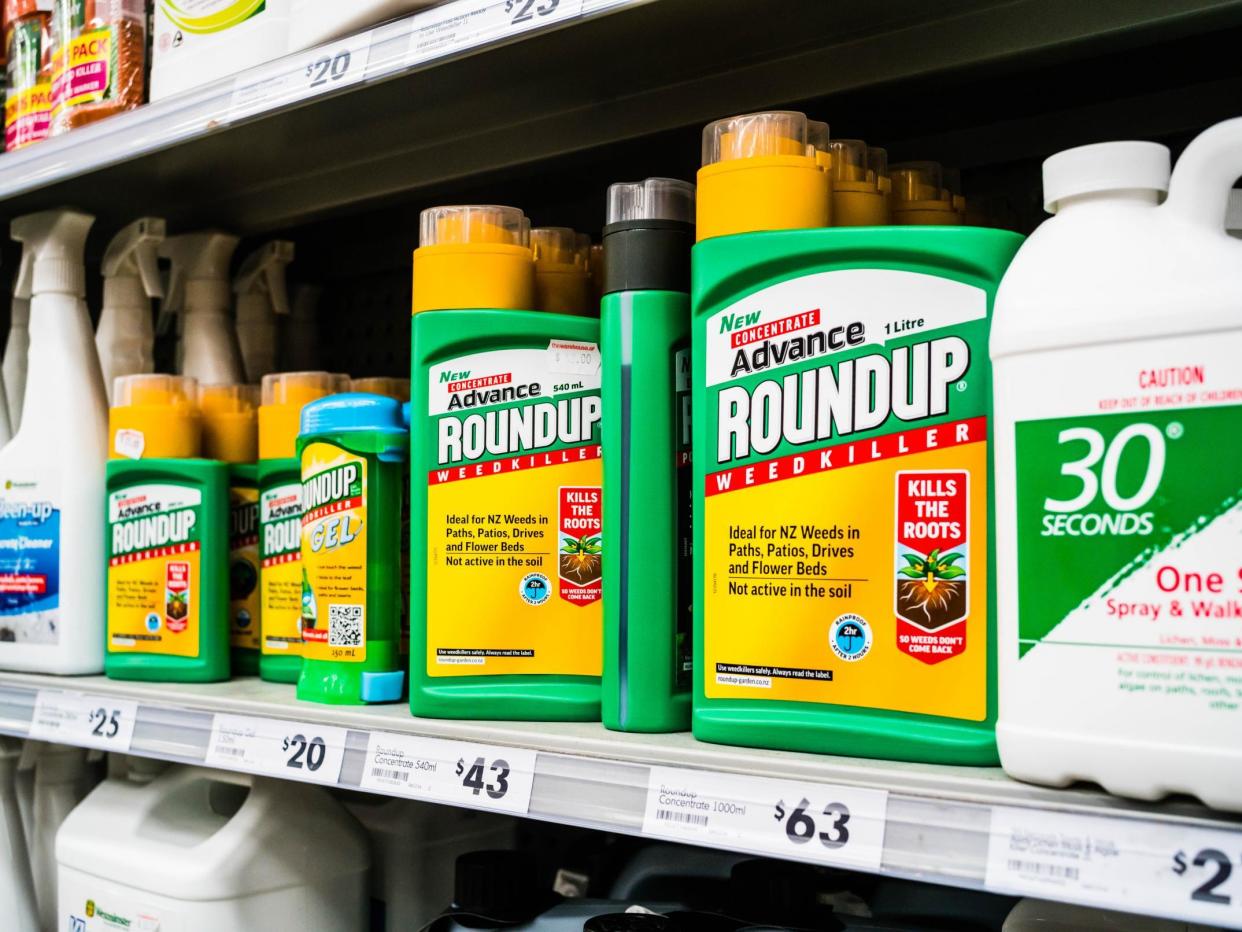 Glyphosate is the active ingredient in Roundup, the UK's most popular weedkiller: Rex Features